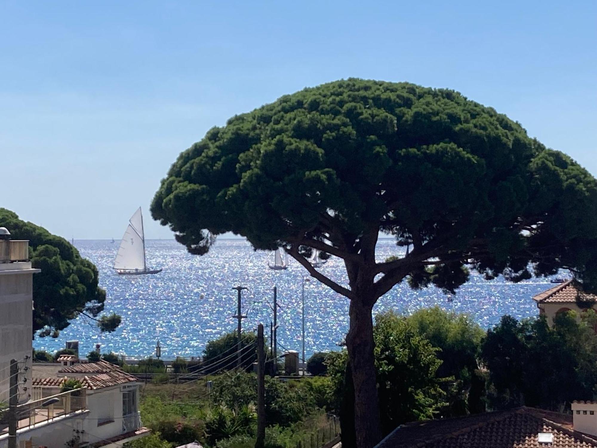 Homestay Parentale , Salle De Bain Privee, Acces Plages & Vue Du Salon Dans Partage ,, Master Bedroom, Private Bathroom, Access & Sea View , At Inhabitant's House Cannes