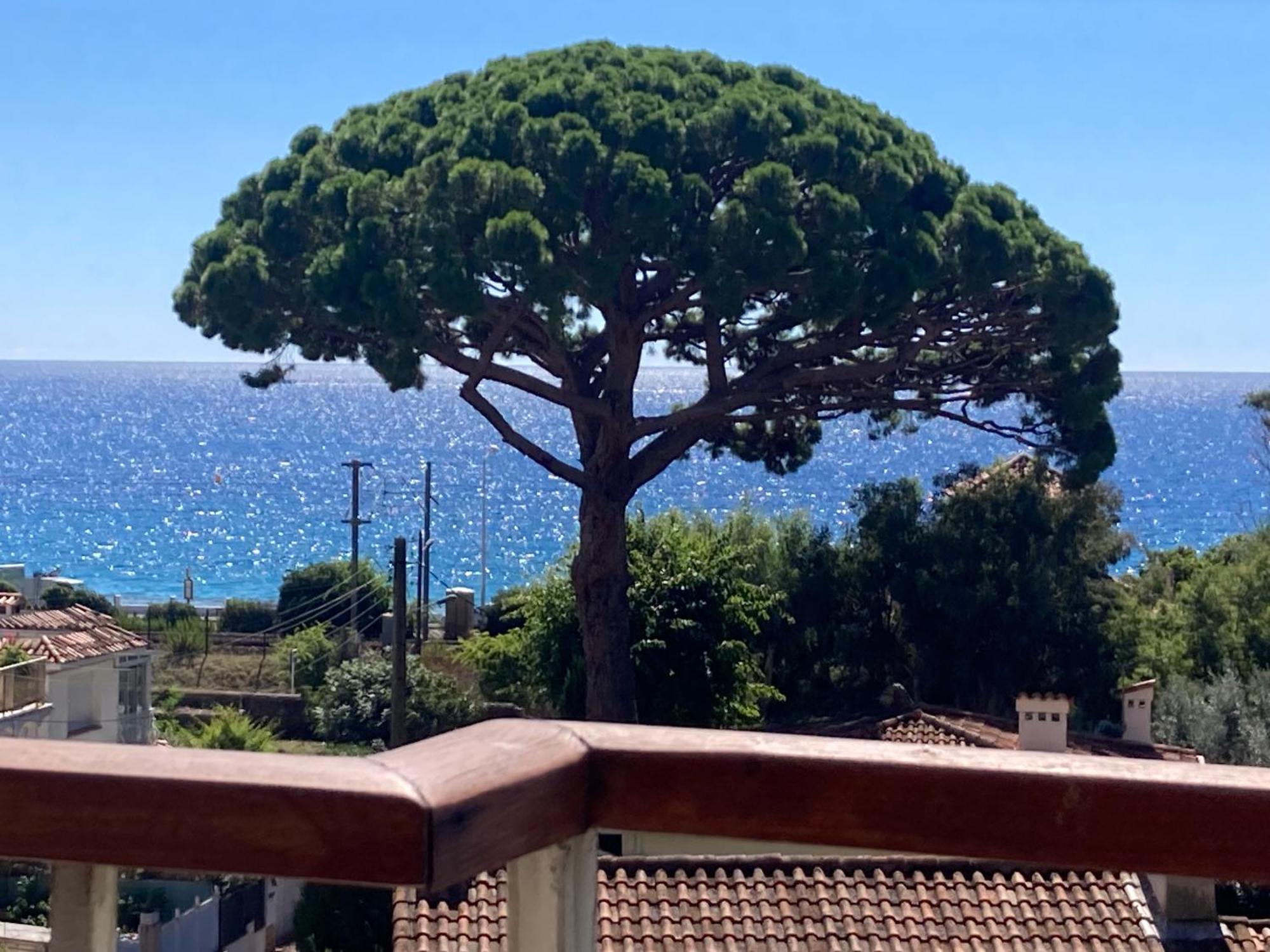 Parentale , Salle De Bain Privee, Acces Plages & Vue Du Salon Dans Partage ,, Master Bedroom, Private Bathroom, Access & Sea View , At Inhabitant's House Cannes